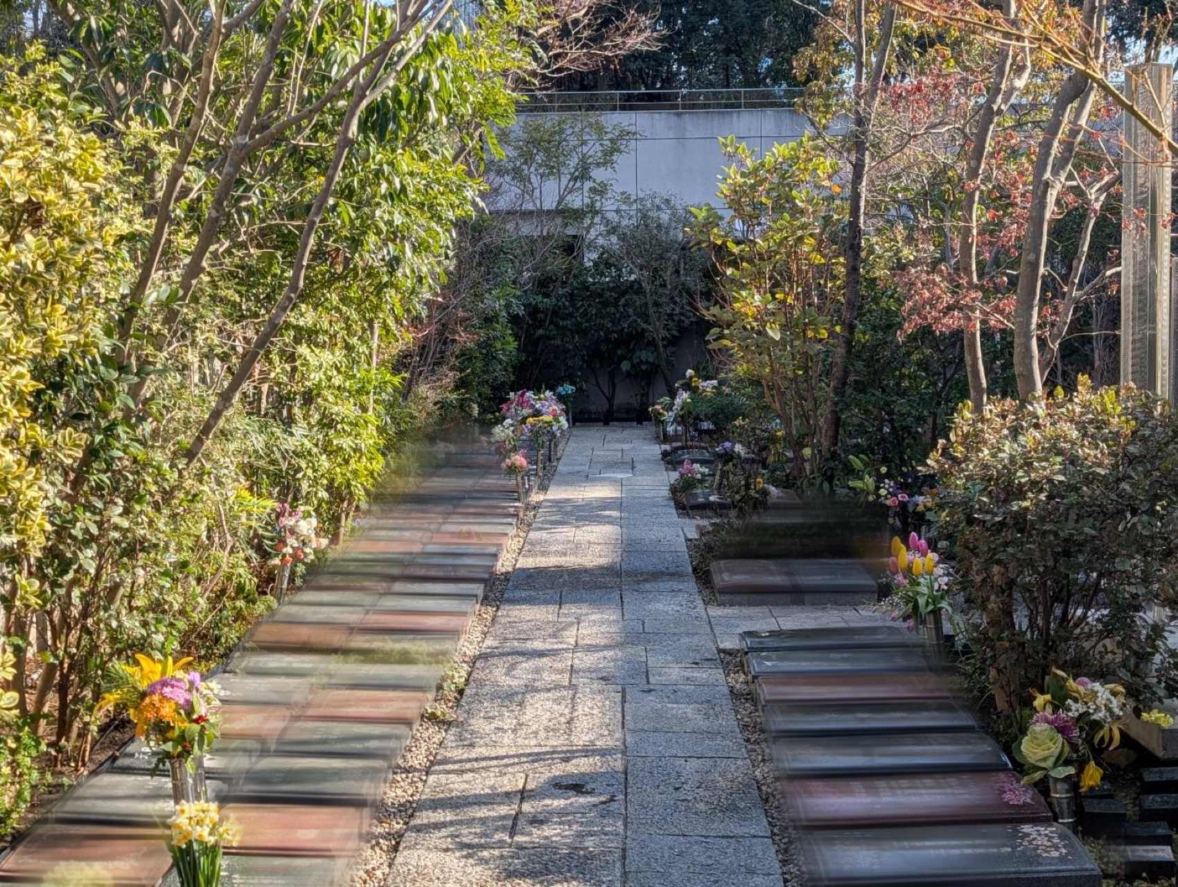 植栽メンテナンス