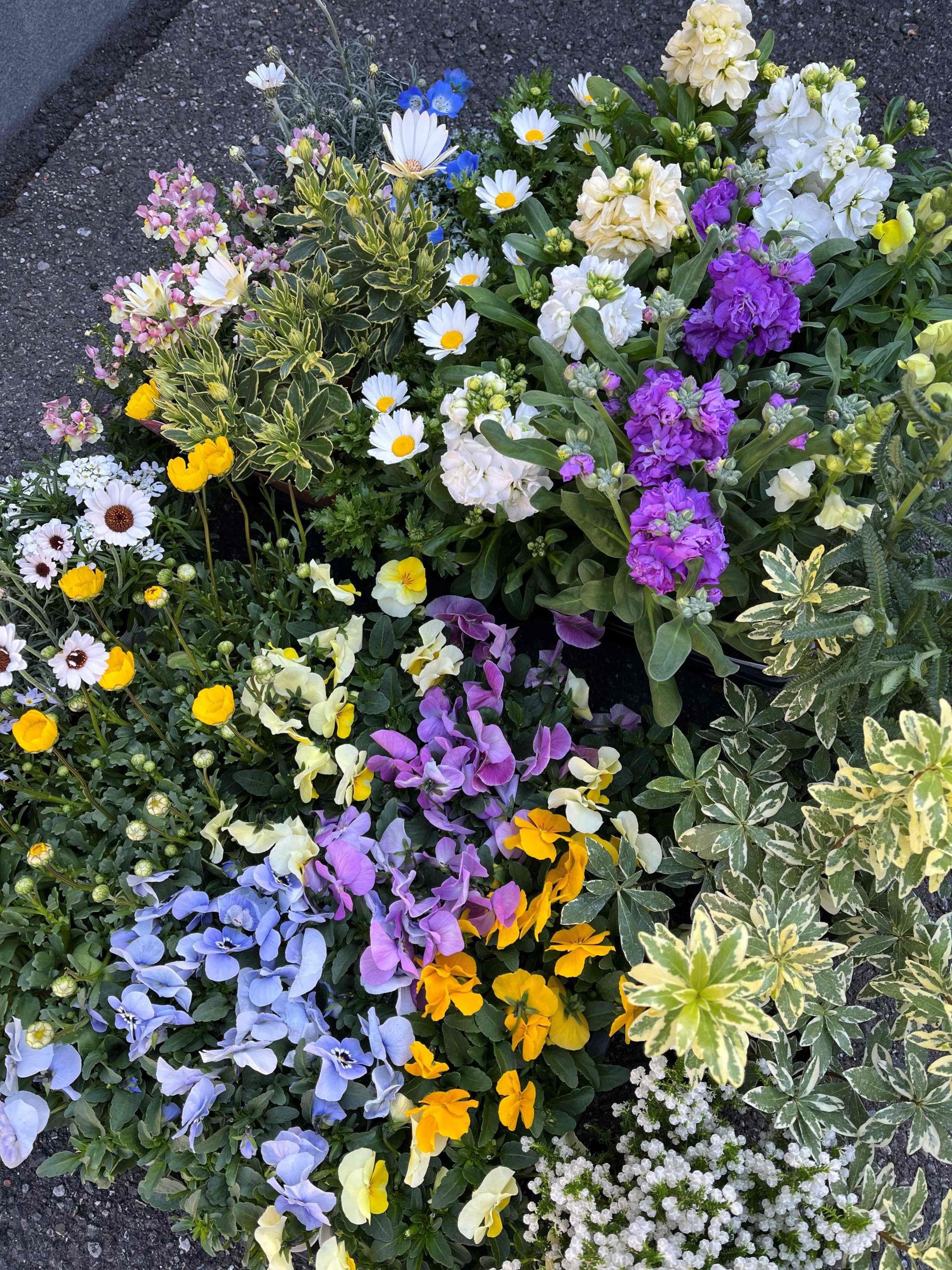 植栽メンテナンス