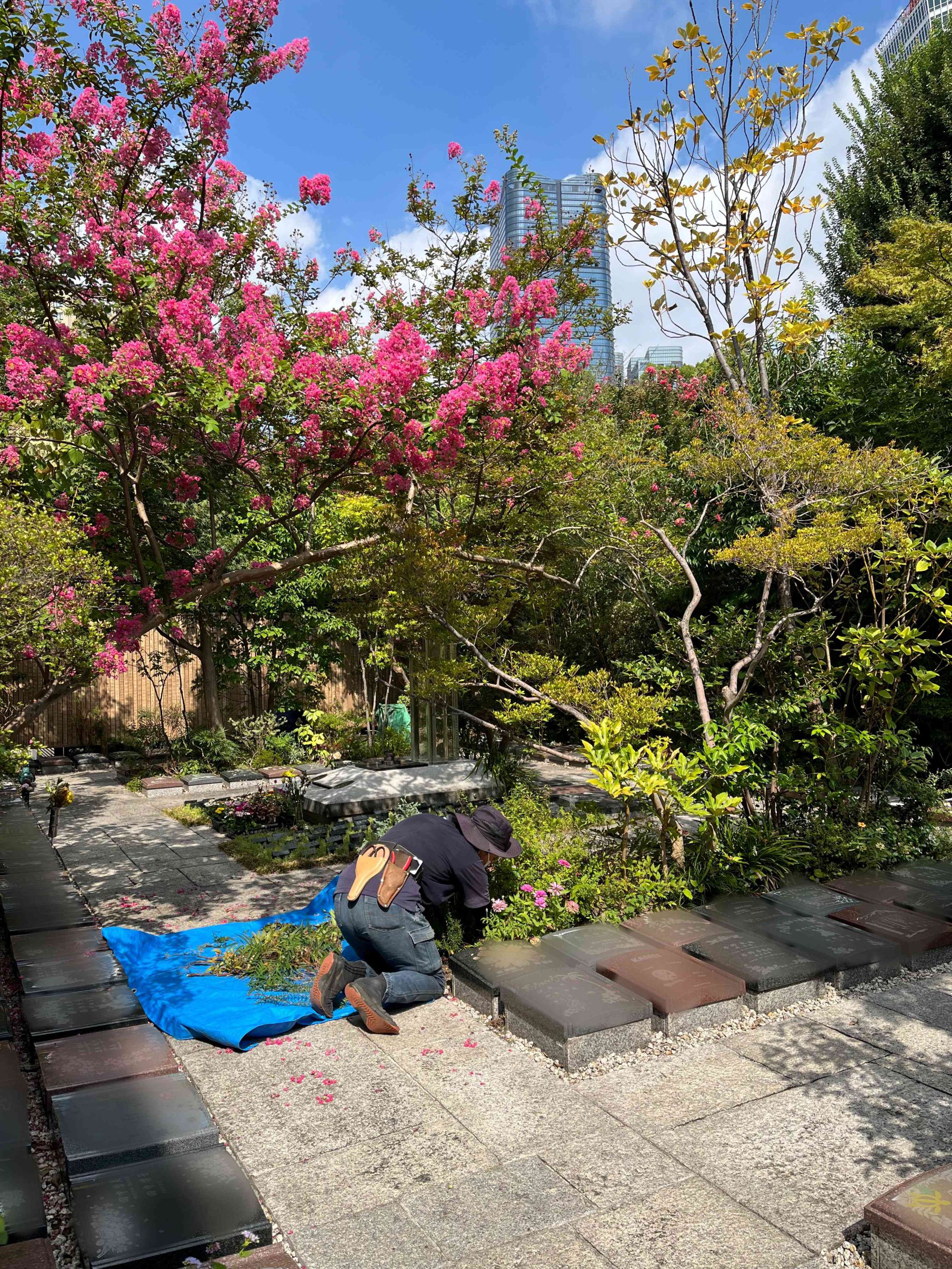 植栽メンテナンス